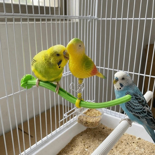 Parrot perch stand - perch,