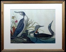 Fine Art Print of John James