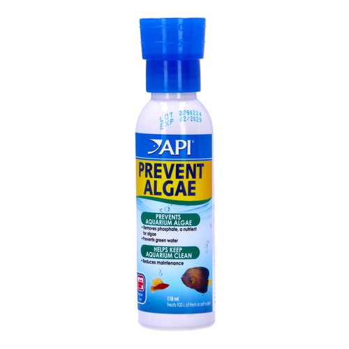 Api prevent algae - algae, 118ml