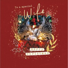 Woodmansterne Cute Kittens