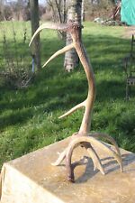 Vintage mid century deer