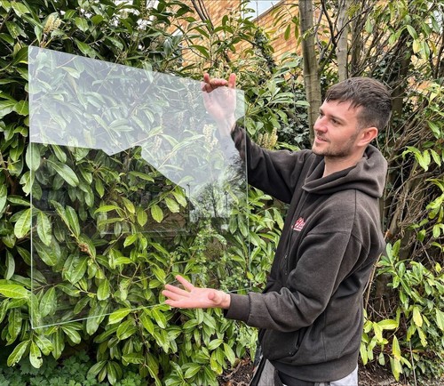 Greenhouse shed toughened - greenhouse,