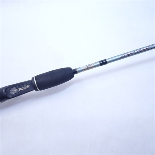 Fenwick bright hawk - bright, bh60m