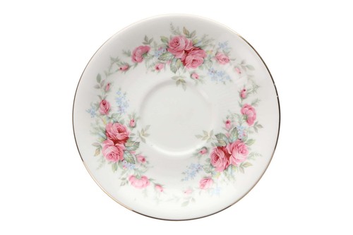 Royal standard rambling - standard, rose