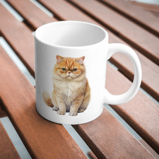 Exotic Shorthair Cat 11oz White Mug, Perfect Gift Idea As It Comes Boxed.