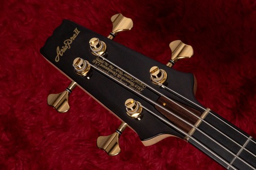 Aria pro 1000 bass - aria, sb-1000