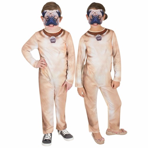 Pug puppy dog - animal, pet