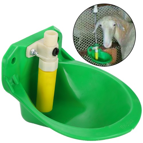 Set sheep water - set,