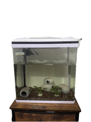 Aqurium aquarium fish tank - aqurium,