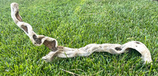 Large Natural Driftwood for