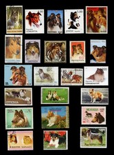 ROUGH COLLIE LASSIE SHEEPDOG