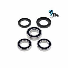 Rear wheel bearing seal - &, kit