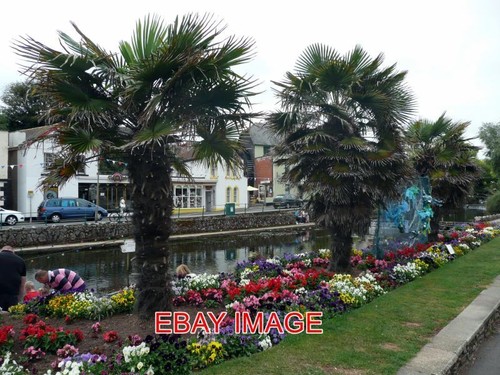 Photo the lawn in dawlish - the,