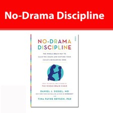 No-Drama Discipline the