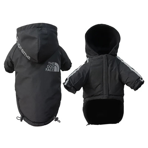 Waterproof dog coat - dog, small