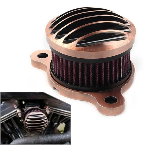 Air cleaner intake filter for - air,