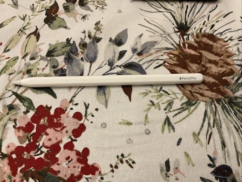 Genuine apple pencil - pencil, pro