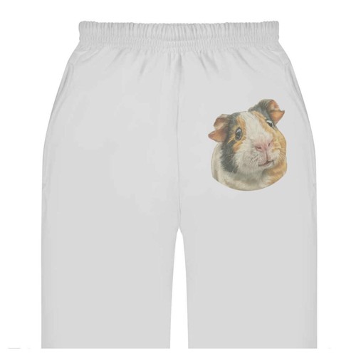 Guinea pig portrait adult - pig,
