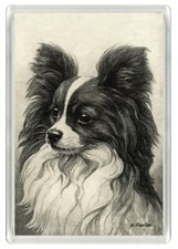 PAPILLON DOG HEAD STUDY ART