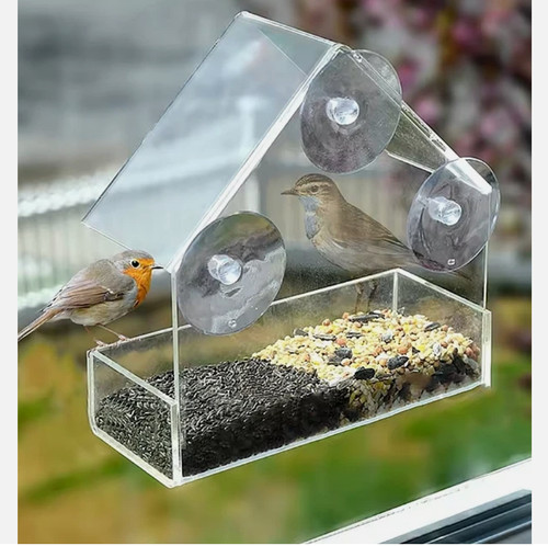 House transparent window wild - house,