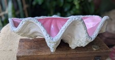 Large Antique Clam Shell, Pink Interior, White Lustre Exterior Dish / Bowl