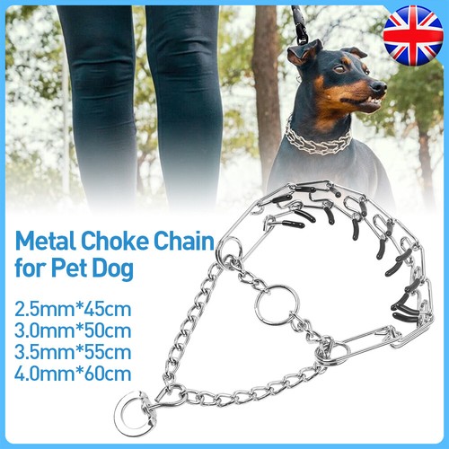 Pet dog training prong - pet, prong-pinch