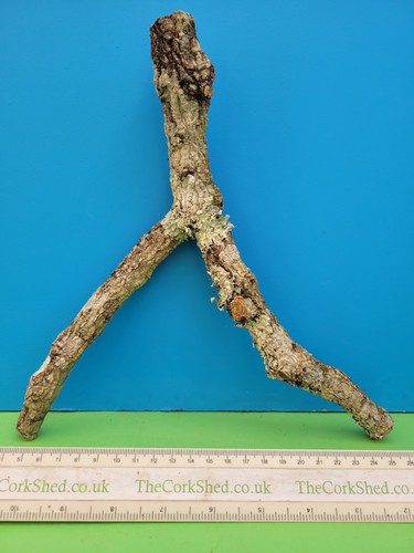 Cork bark branch 29cm snake - branch,