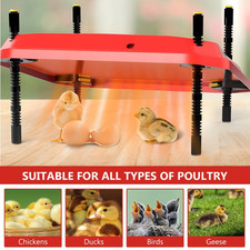 24" Adjustable Chick Brooder