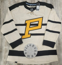 Pittsburgh Penguins Winter
