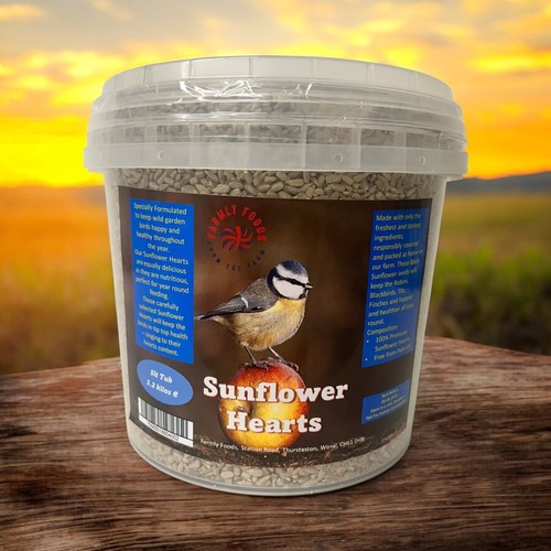 Wild bird seed sunflower - seed,