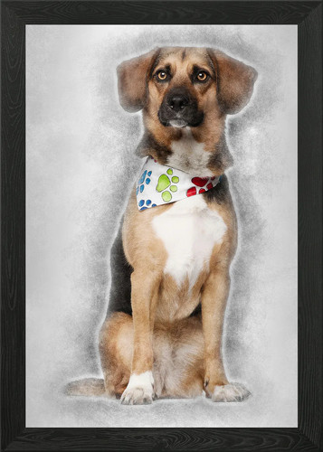 Dog cross breed with bea - dog,