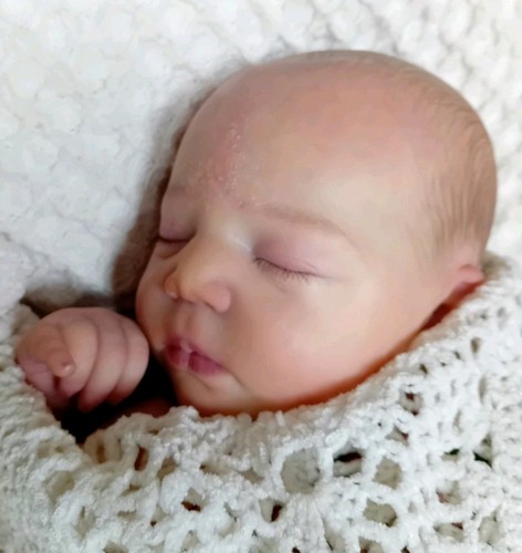 Realborn johannah coa - realborn,