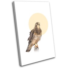 Falcon Bird of Prey Modern