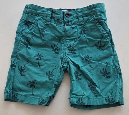 Minoti boys green palm - palm, trees