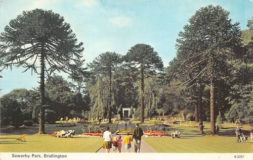 Family history postcard - family,