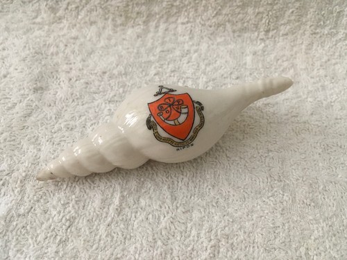 Vintage crested china conch - crested,