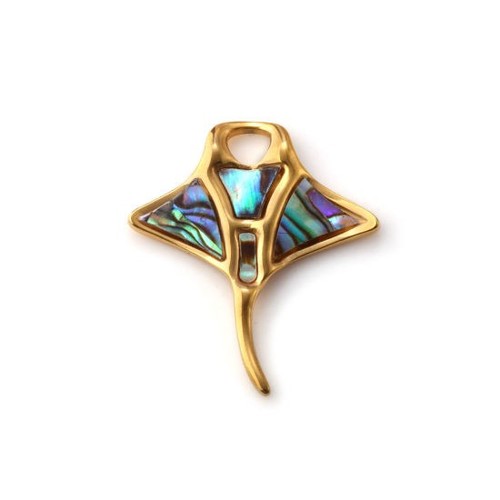 Abalone shell multicolour - abalone,