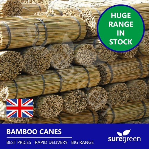 Suregreen bamboo canes - bamboo,