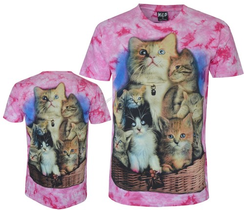 Kittens basket cute - in, baby