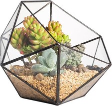 Glass Terrarium Planter for Succulents Bowl Shape Open Geometric Plant Terrarium