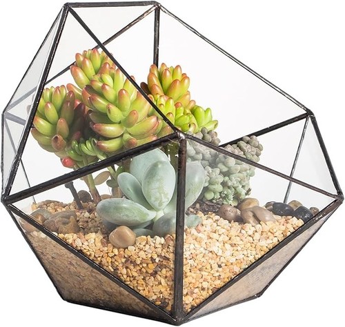 Glass terrarium planter for - glass,