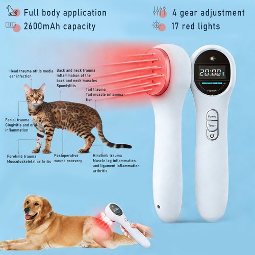650nm 808nm pet red - 650nm, light