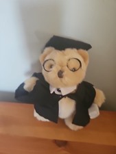 Teddy bear wearing graduation