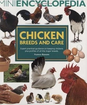 Mini encyclopedia chicken - mini, of