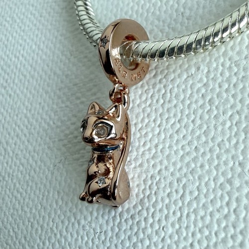 Pandora rose gold - rose, cat