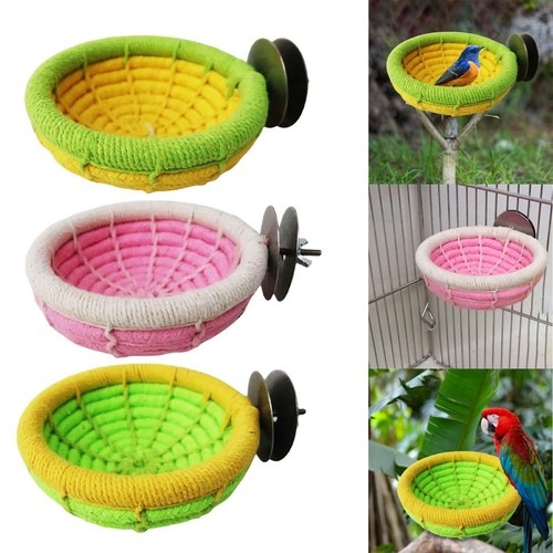 Pet bird nest - bird, hanging