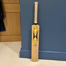 Woodworm cricket bat