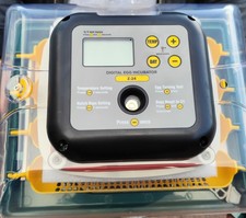 Egg automatic chicken - 24,