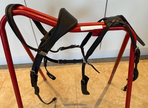 Fairfax bridle