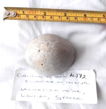 Fossil Sea Urchin - Please see description